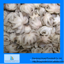 cleaned frozen whole baby octopus superior supplier and first rate service